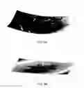 Fig. 10 - Object space calibration of plenoptic imaging systems