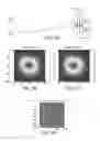 Fig. 06 - Optical flow sensing and pattern recognition with anti-symmetric phase gratings