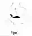 Fig. 02 - Automatic aircraft separation assurance