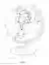 Fig. 05 - Nifty Globe