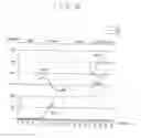 Fig. 09 - Display apparatus having increased side-visibility in a high grayscale range and a method of driving the same