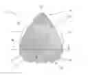 Fig. 01 - Ergonomic musical instrument plectrum
