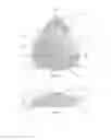 Fig. 03 - Ergonomic musical instrument plectrum