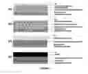 Fig. 02 - PRECIPITATION PROCESS FOR PRODUCING PEROVSKITE-BASED SOLAR CELLS