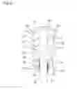 Fig. 05 - Circuit interrupting device