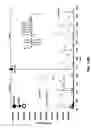 Fig. 16 - Method and device for mass spectrometric analysis of biomolecules using charge transfer dissociation (CTD)