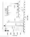 Fig. 17 - Method and device for mass spectrometric analysis of biomolecules using charge transfer dissociation (CTD)
