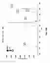 Fig. 19 - Method and device for mass spectrometric analysis of biomolecules using charge transfer dissociation (CTD)