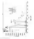 Fig. 26 - Method and device for mass spectrometric analysis of biomolecules using charge transfer dissociation (CTD)