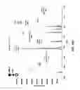 Fig. 27 - Method and device for mass spectrometric analysis of biomolecules using charge transfer dissociation (CTD)