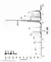 Fig. 47 - Method and device for mass spectrometric analysis of biomolecules using charge transfer dissociation (CTD)