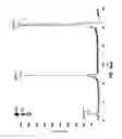 Fig. 53 - Method and device for mass spectrometric analysis of biomolecules using charge transfer dissociation (CTD)
