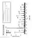 Fig. 70 - Method and device for mass spectrometric analysis of biomolecules using charge transfer dissociation (CTD)