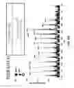 Fig. 78 - Method and device for mass spectrometric analysis of biomolecules using charge transfer dissociation (CTD)