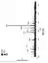 Fig. 85 - Method and device for mass spectrometric analysis of biomolecules using charge transfer dissociation (CTD)