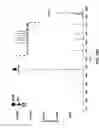 Fig. 96 - Method and device for mass spectrometric analysis of biomolecules using charge transfer dissociation (CTD)