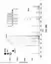 Fig. 97 - Method and device for mass spectrometric analysis of biomolecules using charge transfer dissociation (CTD)