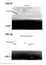 Fig. 02 - Dry etching method and dry etching agent