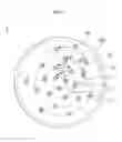 Fig. 06 - SUBSTRATE SUPPORT UNIT AND SUBSTRATE TREATMENT APPARATUS COMPRISING THE SAME