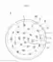 Fig. 07 - SUBSTRATE SUPPORT UNIT AND SUBSTRATE TREATMENT APPARATUS COMPRISING THE SAME