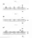Fig. 02 - PACKAGE SUBSTRATE AND MANUFACTURING METHOD THEREOF