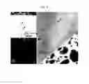 Fig. 07 - SILVER DIFFUSION BARRIER MATERIAL, SILVER DIFFUSION BARRIER, AND SEMICONDUCTOR DEVICE USING THE SAME