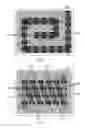 Fig. 09 - Electronic device including a conductive structure surrounded by an insulating structure