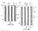 Fig. 06 - Quantum dot and luminescent material made therefrom