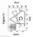 Fig. 12 - NON-VOLATILE RESISTANCE SWITCHING DEVICES