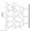 Fig. 05 - Liquid crystal photoalignment materials