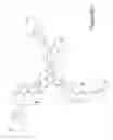 Fig. 08 - Liquid crystal photoalignment materials