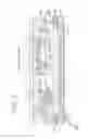 Fig. 07 - Light-emitting device