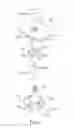 Fig. 07 - Waterproof accommodating structure for battery