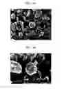 Fig. 05 - Composite anode active material, lithium battery including the same, and method of preparing the composite anode active material