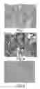 Fig. 04 - Composite active material for lithium ion secondary batteries and method for producing same