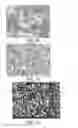 Fig. 05 - Composite active material for lithium ion secondary batteries and method for producing same