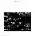 Fig. 03 - Cathode of three-dimensional lithium secondary battery and method of fabricating the same