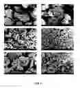 Fig. 03 - Manufacturing method of high purity lithium phosphate from the waste liquid of the exhausted lithium-ion battery