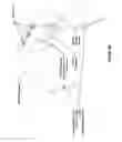 Fig. 04 - Hybrid radio frequency / inductive loop antenna