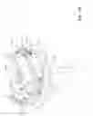 Fig. 19 - Magnetic electrical connector
