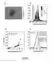 Fig. 04 - Continuous-wave pumped colloidal nanocrystal laser