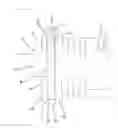 Fig. 19 - Wire cover