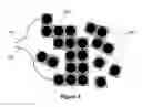 Fig. 03 - Self assembling floating solar pods