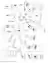 Fig. 05 - Communication network of moving things