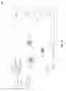 Fig. 11 - Simplified entity engagement automation