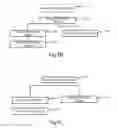 Fig. 05 - Method and device for removing a control relationship between a user account and a device