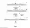 Fig. 07 - Secure data re-encryption