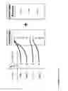 Fig. 37 - Point-to-Point Transaction Guidance Apparatuses, Methods and Systems