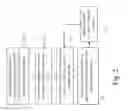 Fig. 03 - Protection of telecommunications networks