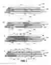 Fig. 04 - ABR allocation for statistical multiplexing
